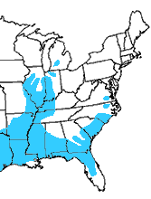 Siren intermedia distribution map